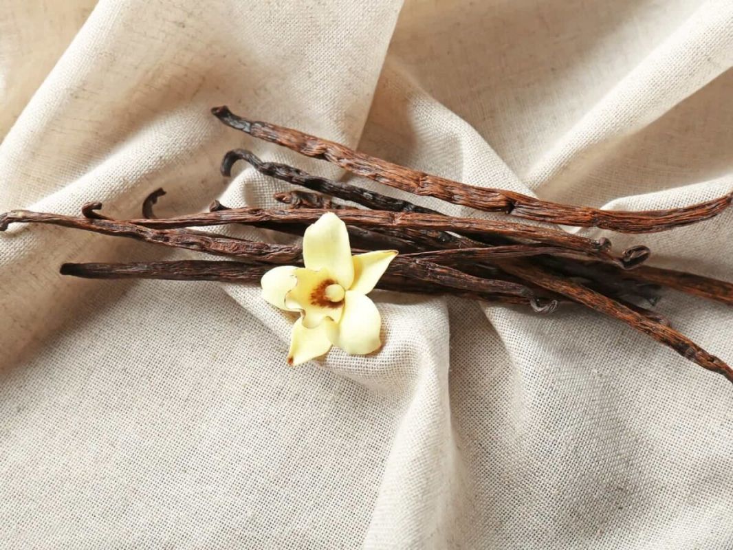 ������: ��� ������� � ������������ ��������� ������ � ���������