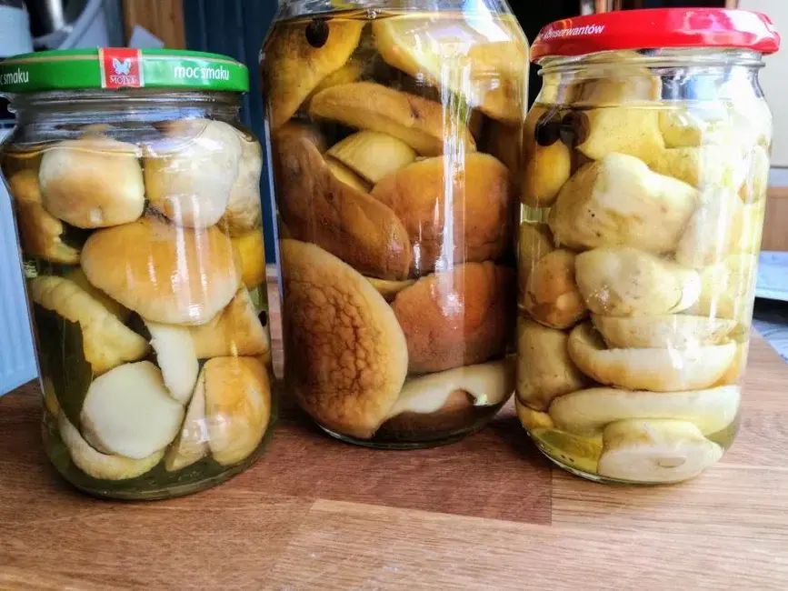 �������������� ������ ������������ ������: �������� � ����