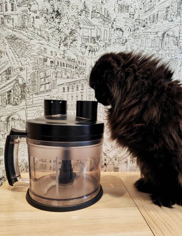 �������� �������: ����� ������� ������ ����� ������ �� �����?