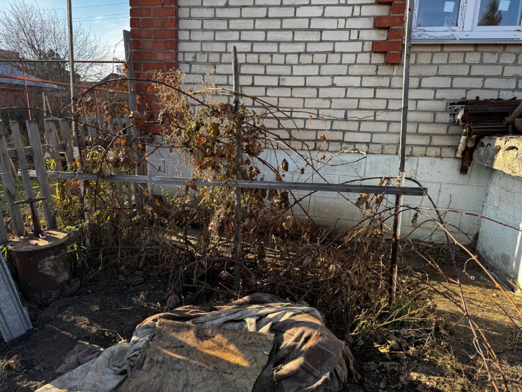 ������ ��������� �� �������: ��� �������� � ������ ���������� ������ �������� ����