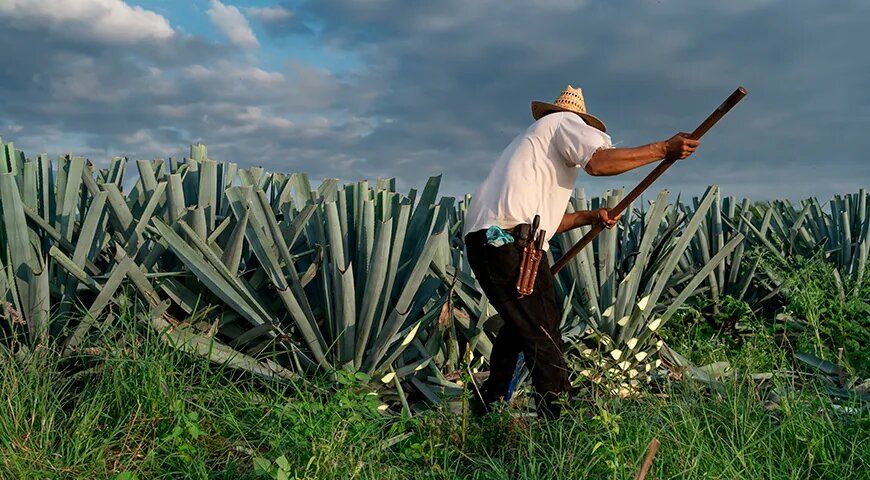 ������: �� ������ � �������������