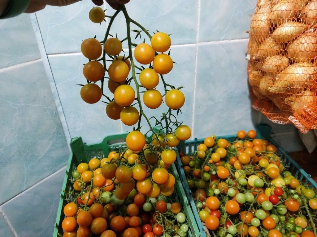 Как хранение запасов помогает держать бытовую дисциплину и вкус на старых заготовках