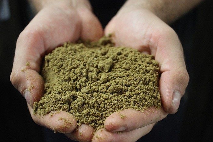 ���� ����������� ������������ ������ ���� � ����: ��� ���������� � ����?