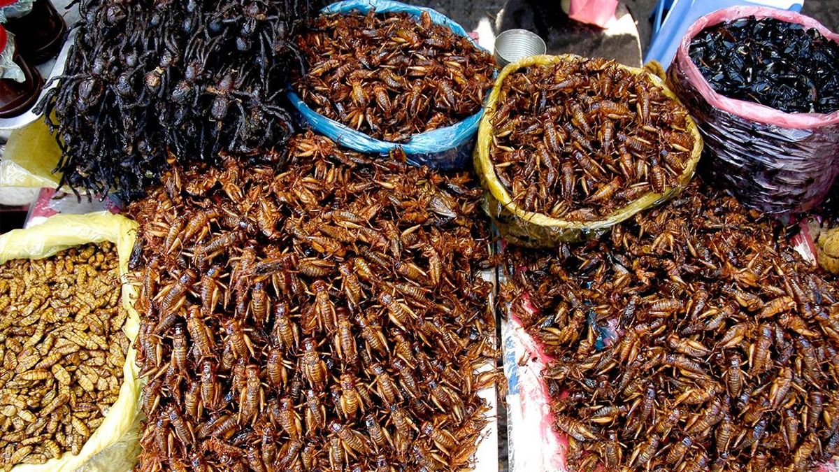 ���� ���������: ������� ����� � ����� �������