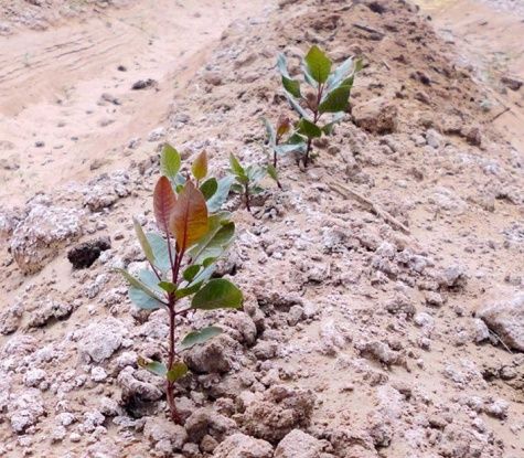 ����������� �����: ��� ������ ��������� � ��������