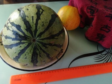 ��� ����� �������: ��� ���� ����������� ����� �������� � ������?