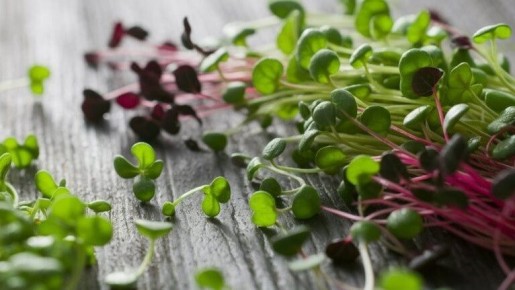 �����������: ��������� ������, ������� ������������ ��� ��������