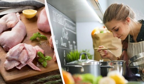 Как эффективно избавиться от антибиотиков в курином мясе
