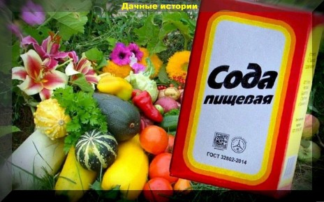 �������� ���� ����: ��� ������������ � ���� �������� � �����������