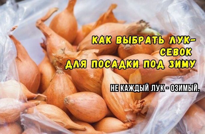 ��� ��������� ������� ��� ��� ������ �������: ������� ���������