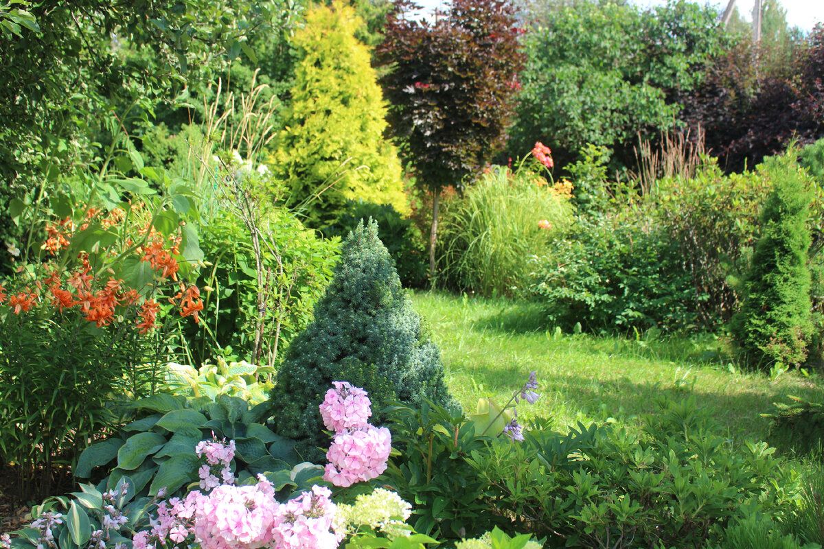 �������� ���������: ����� ����������������� � ������������ �������� ������� ���������