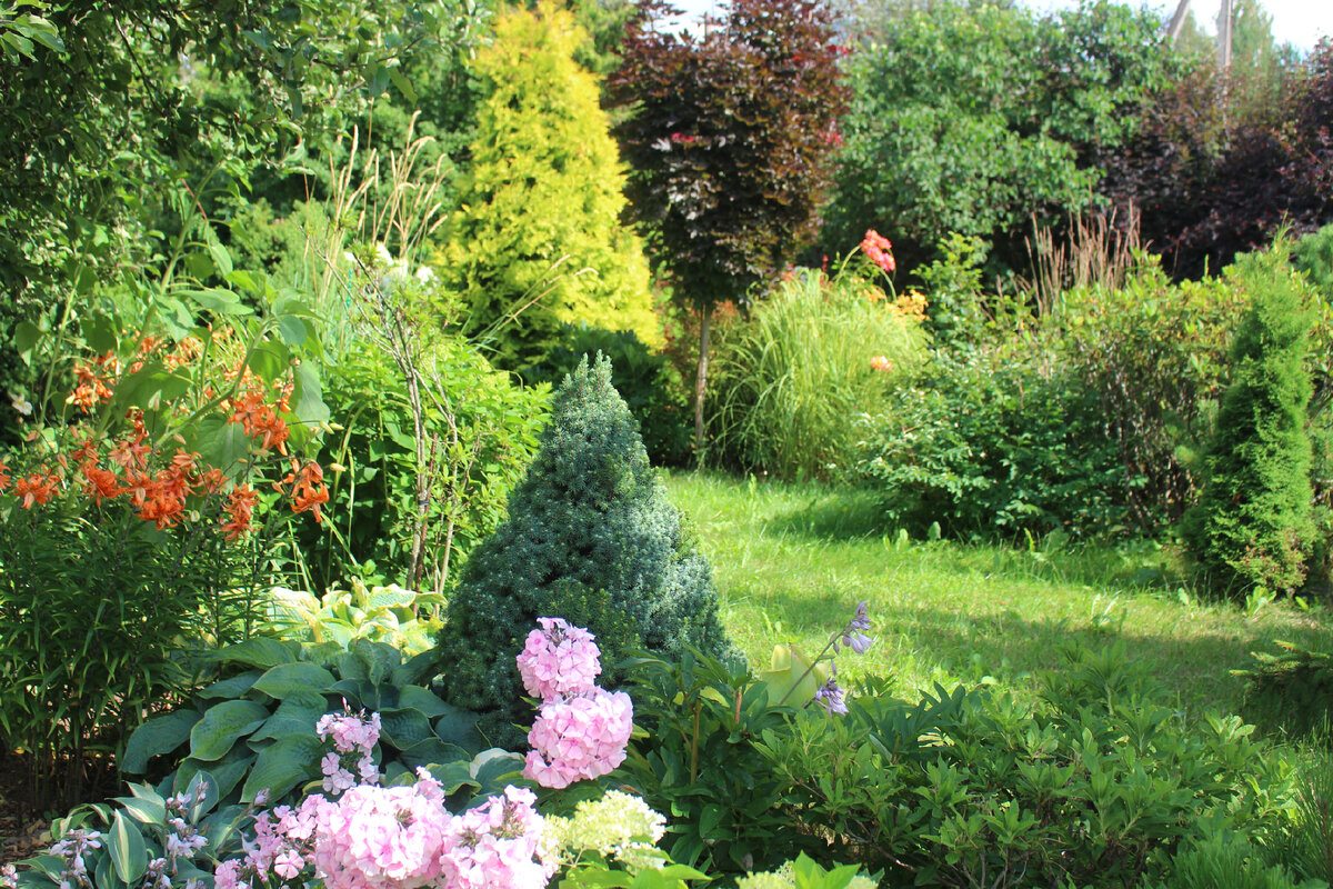 Выставка «Евразия»: новое месторасположение и удивительные растения Людмилы Федотовой