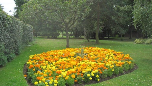 Как воплотить свои идеи в жизнь: советы по созданию идеальных клумб