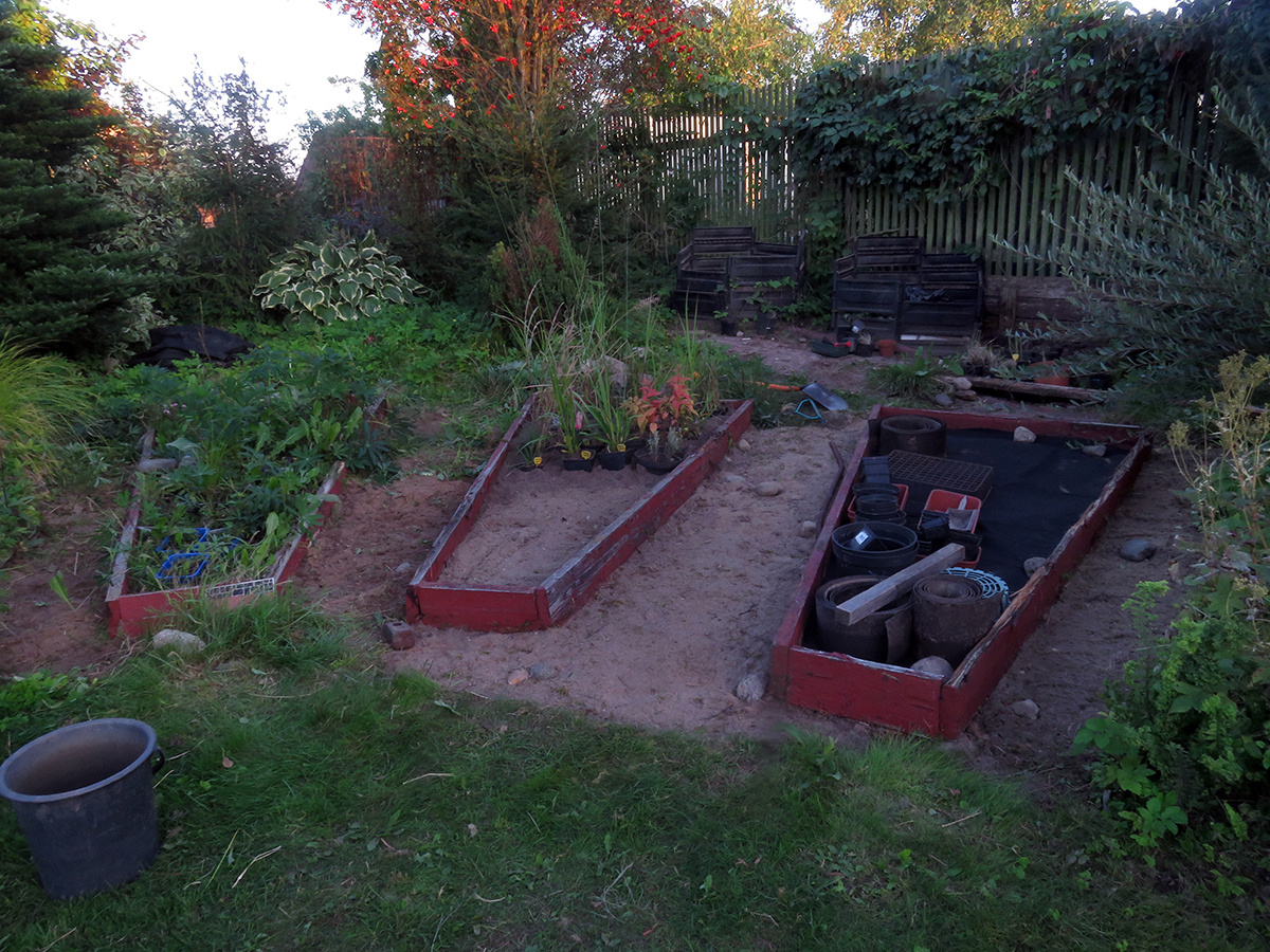 Секреты желтых люпинов: от мечты до реальности