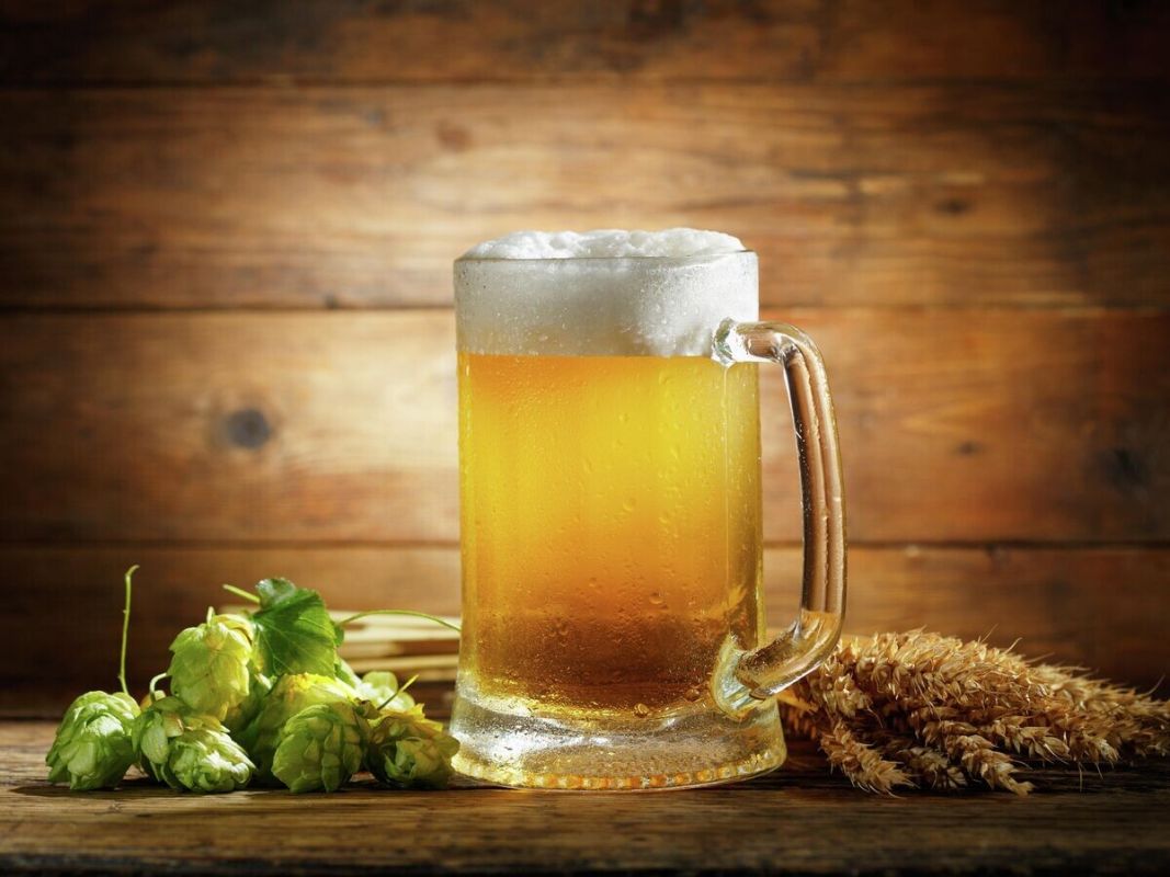 ������ ����: ������������ ����� � ������� ����������� ���������