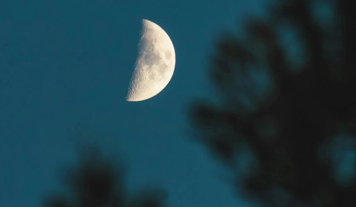 ��������������� ��� �������: ����� ����� ���� ����������