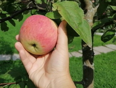 ������ ������: ������� �������� ��� ������ ����