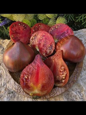 Томат салют виктории: выделяющийся сорт с уникальным вкусом