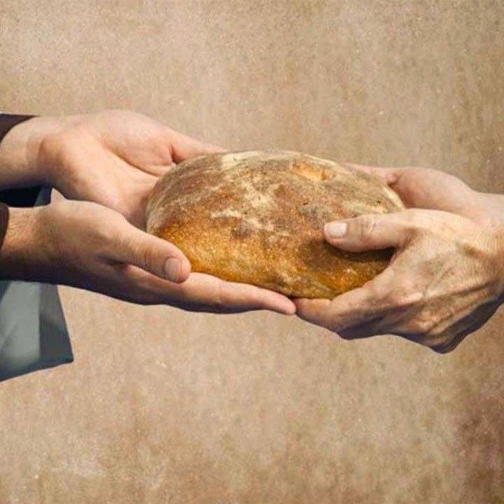 Хлеб — друг или враг? Размышления о потерянных традициях