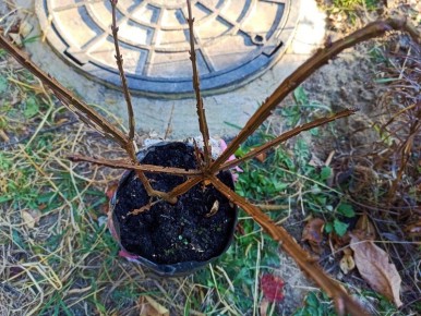 ������� � ��������: ��������� �������� ��������� ���� ������ ����