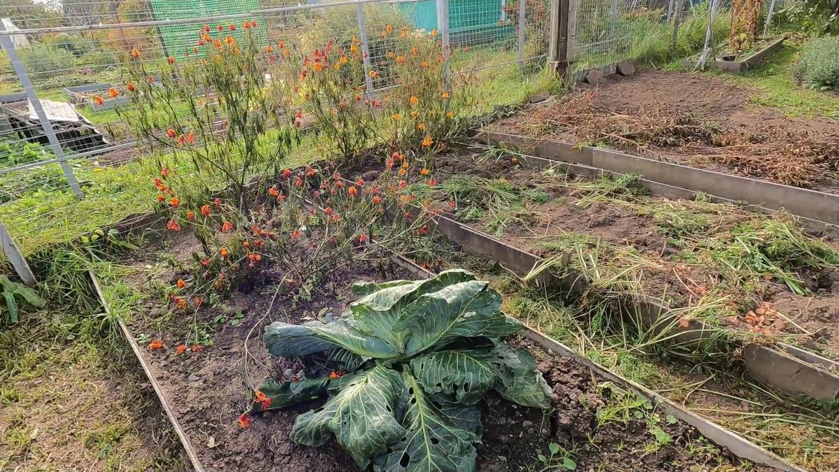 ������� ������������� ������ ���: �� ����� �� �����