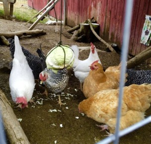 ��� �������� ������������ ��� ������ ��� ������ ������