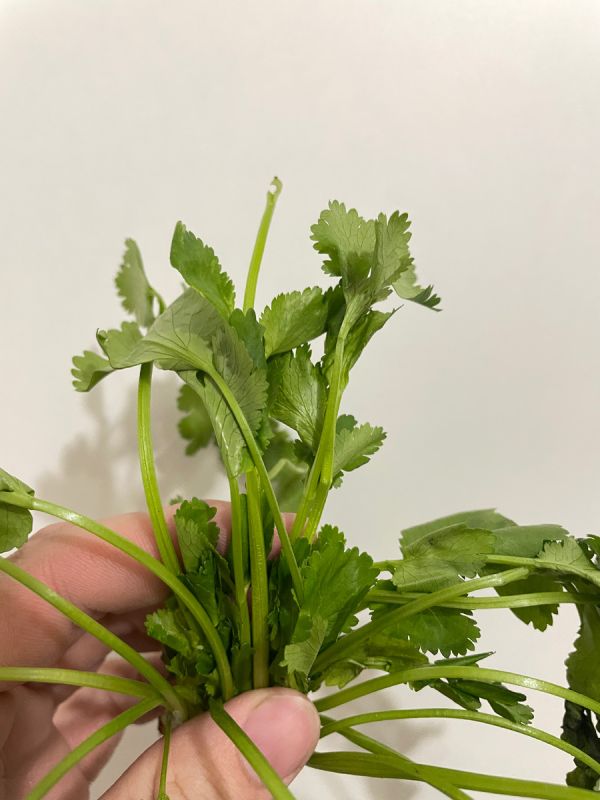 ��� ����� ������ ���������� ������: ������������ ������������