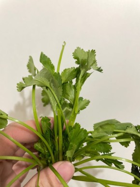 ��� ����� ������ ���������� ������: ������������ ������������