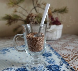 Кориандр и кинза: как одно растение может делить вкусы