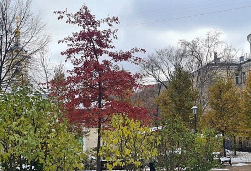 ������� ������: ��������� ����� ��� ����� � �������� ���