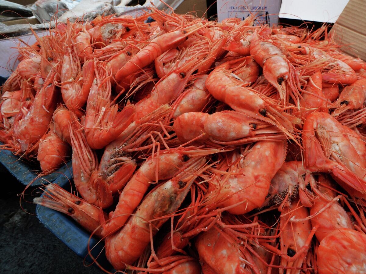 Креветки: морепродукт для укрепления иммунитета и здоровья