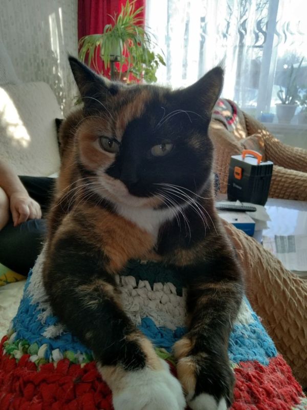 ��� �� �������, ���� � ����: ���� � ������ ����������