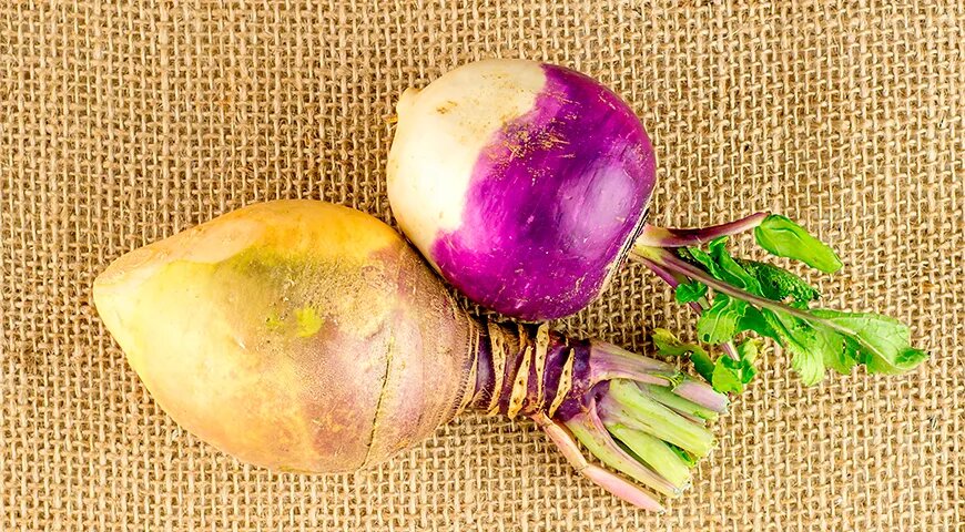 Репа: секреты выбора и кулинарные идеи