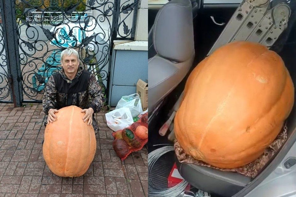 ����������� ������� �������� � ���������� ������ ����� 55 ��