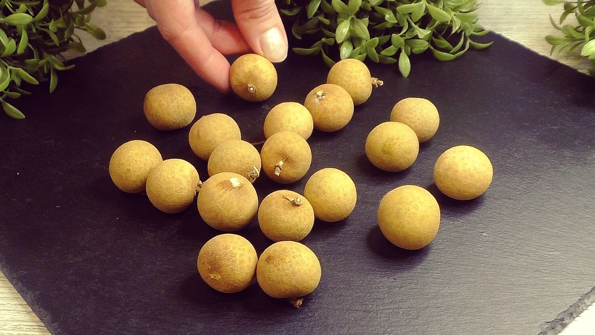 ������� � ��������: ������ ���� �������� ��� ��������� ��������