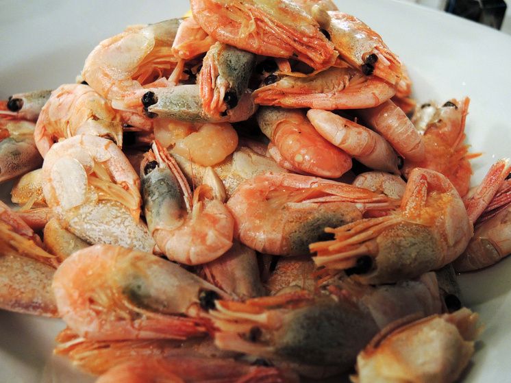 ��������: �����������, ������� ��������� ��� ���������