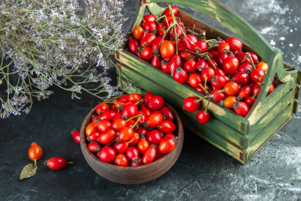 ��������� ������ ��������: �������� ��������� � �������� � ��������