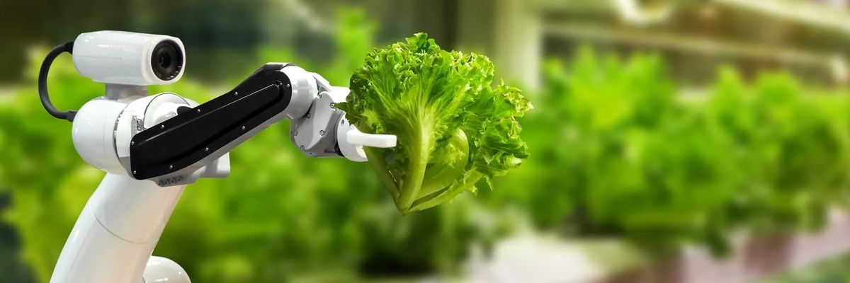 ���������� � �������: ��� ������� ��� ���������� �����������