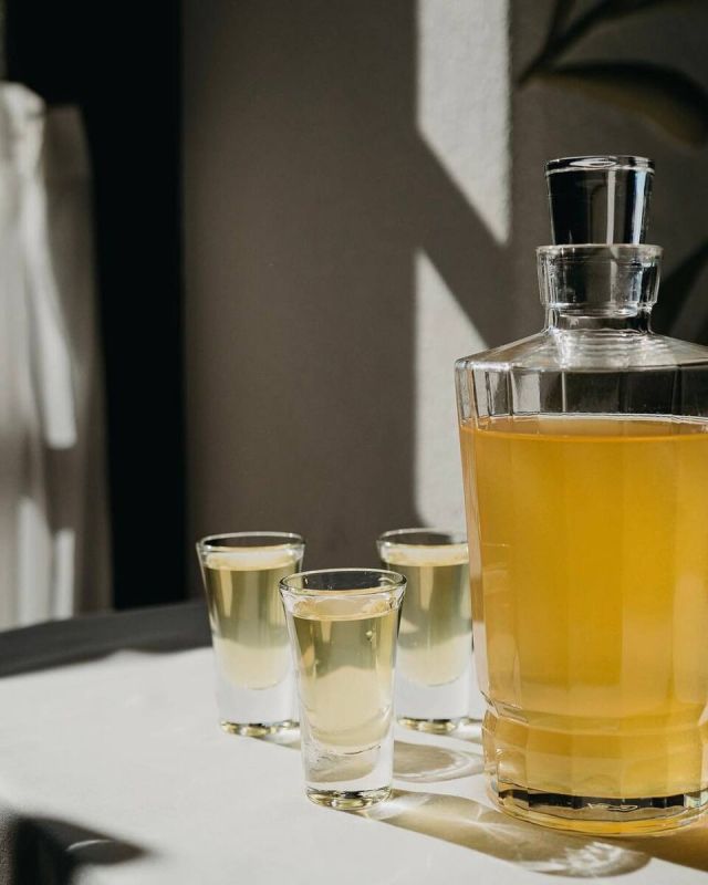 ������ ����������: ����������� ������� �� Novikov Group