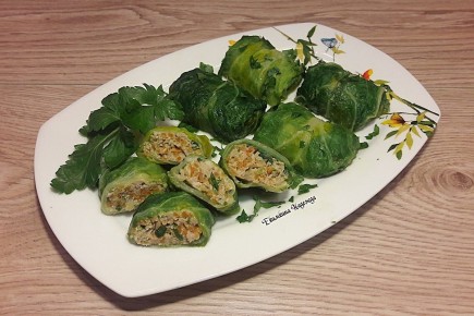 ����� ������ �� ������������ �������: ��������� ������� � ��������� ��������