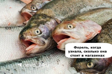 ������ � ����� ��������� ������� ������� ���� �� ���������� �����