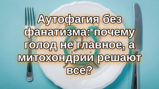 ����������� � ���������: ������ ����� �� ������ ����� � �������� ��������