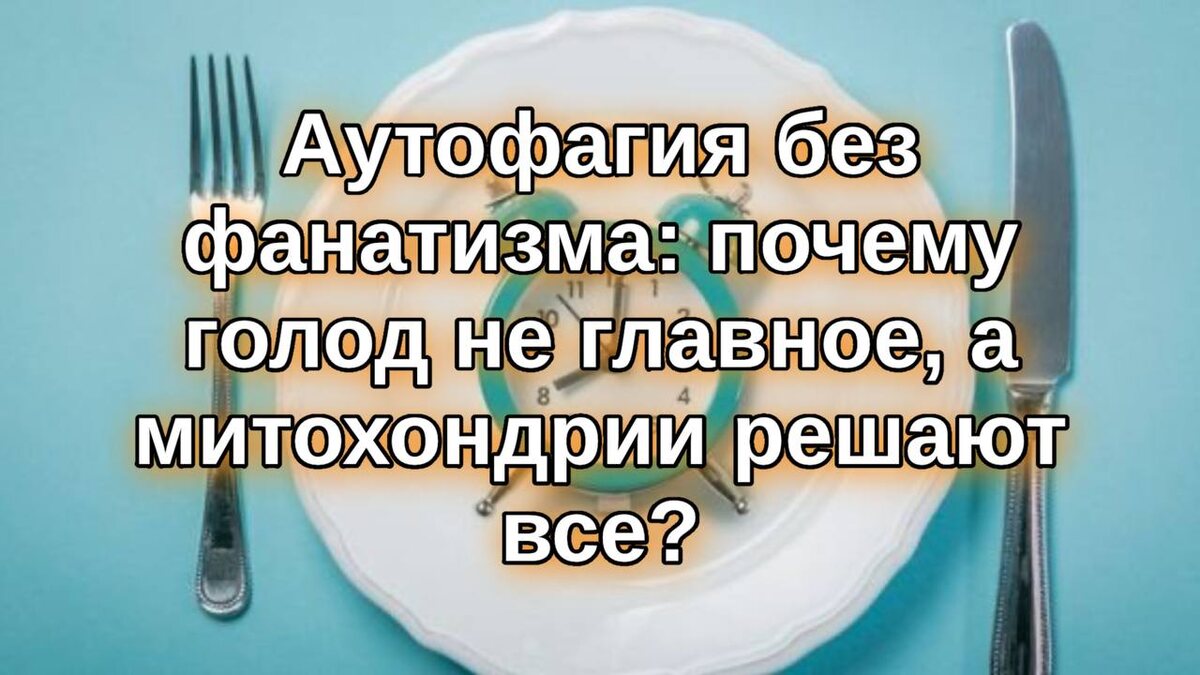 Митохондрии и аутофагия: почему голод не решает всего в вопросах здоровья