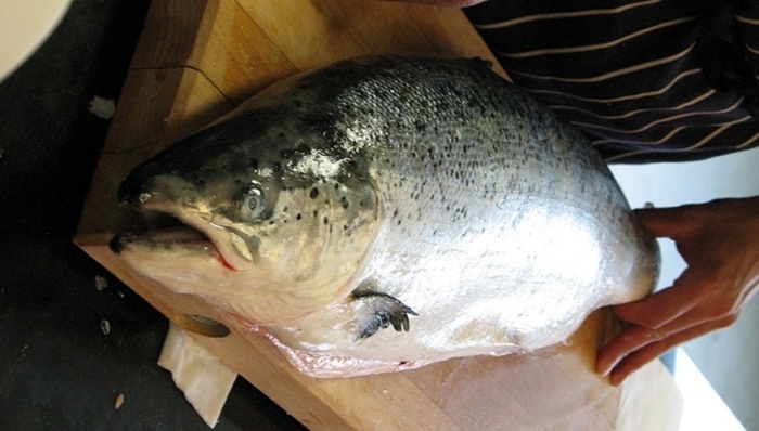 Лосось — идеальный зимний продукт для укрепления иммунитета