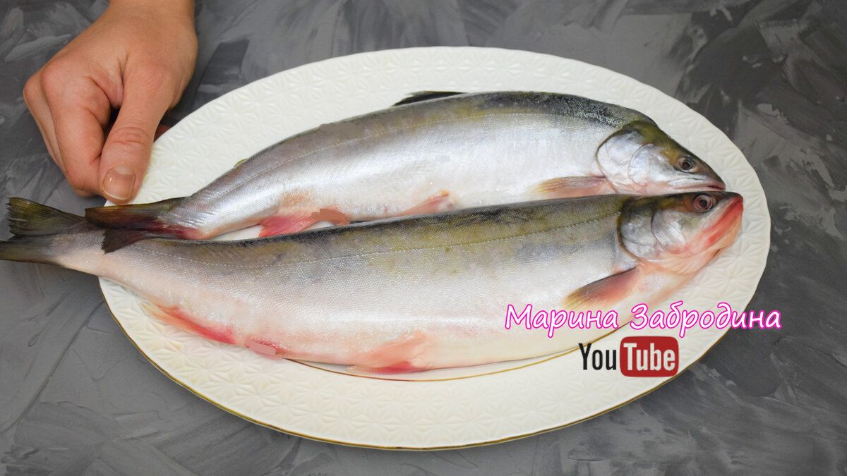 ���������� ���� � �������: ������� � ������� ������