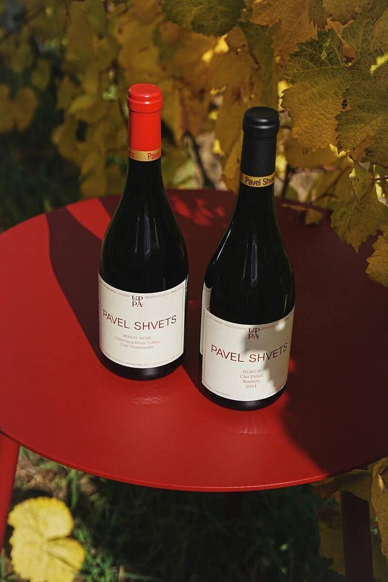 С новыми винами — к новым впечатлениям!