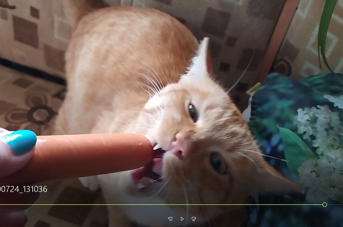 ������� ��� �����: ���� � ����������