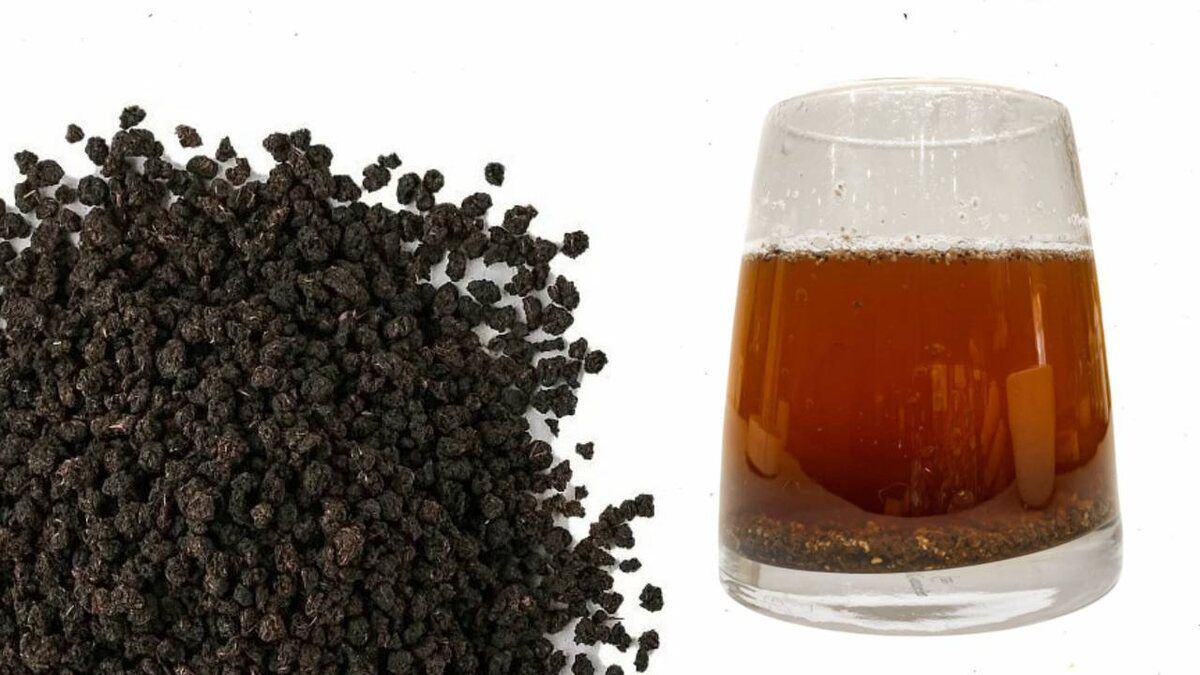 ��������������� ���: ���� � ���������� � ���������� �������