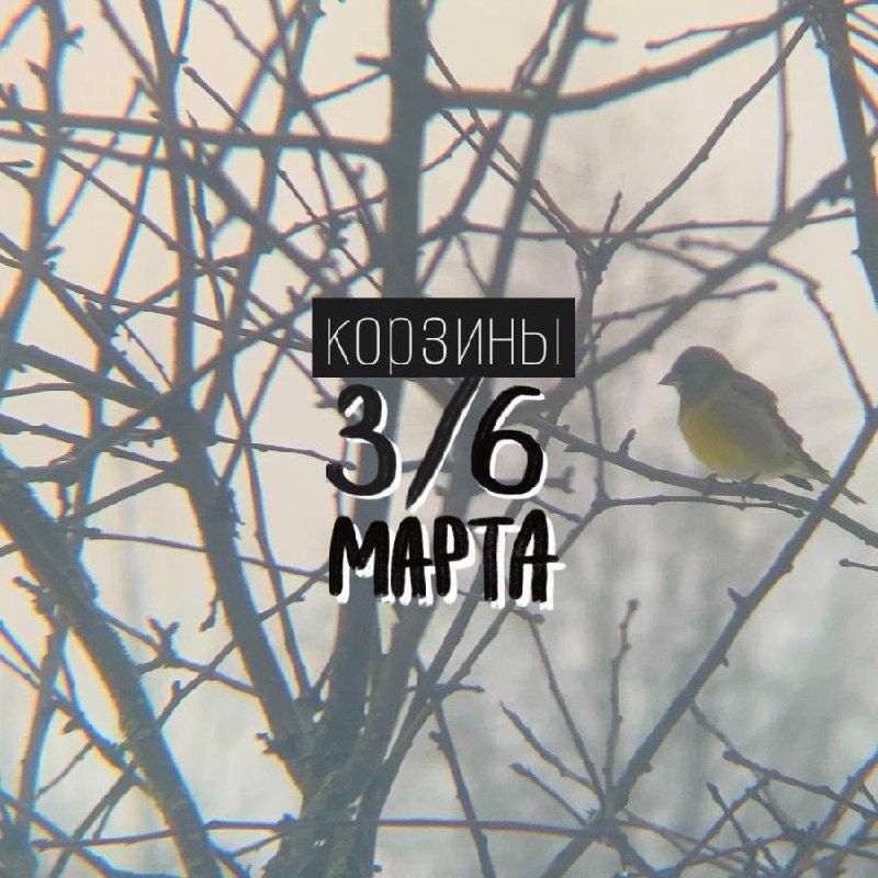 ��� ������� ��� � ������������ ������ �� �����