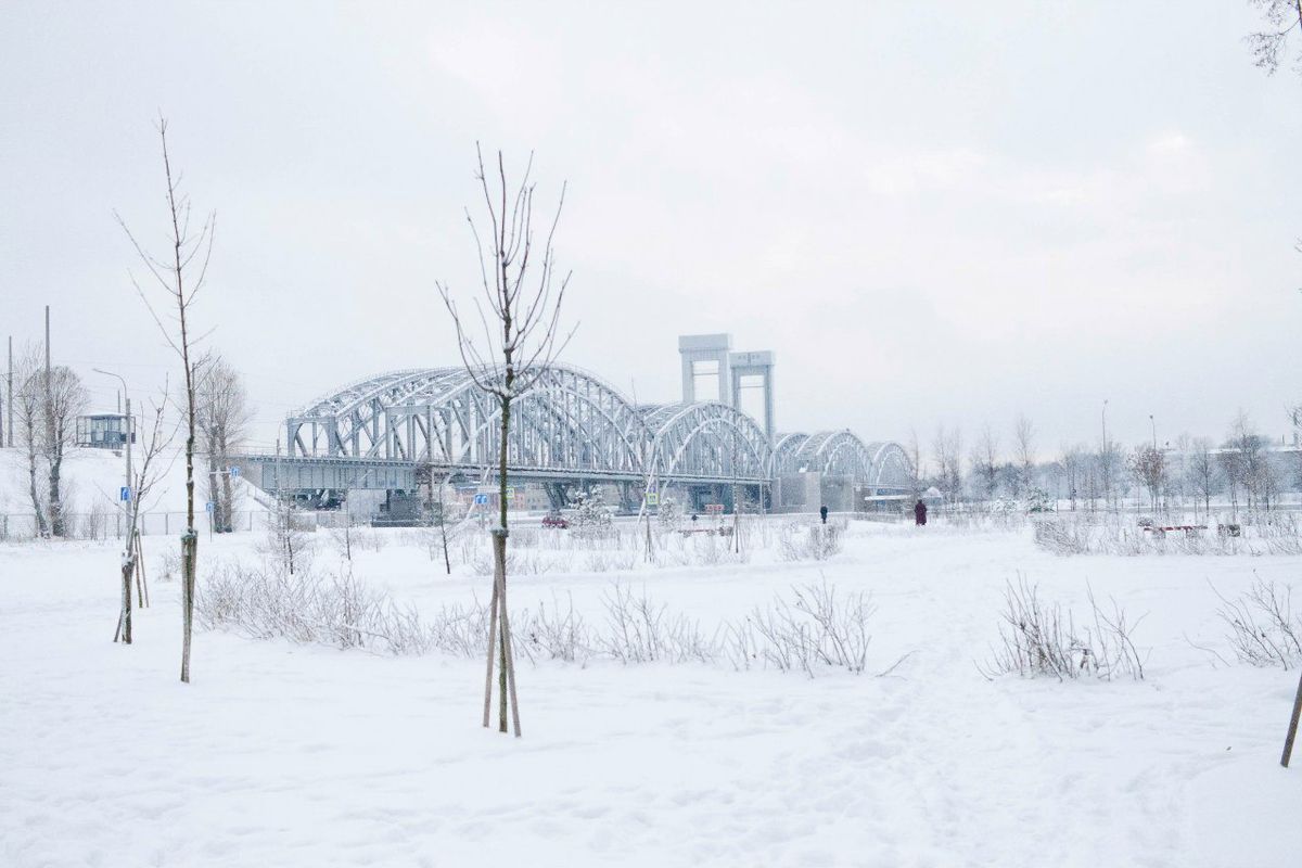 ��� ���� ������ ��� ���� ����� � ���� ������������ �������� ������